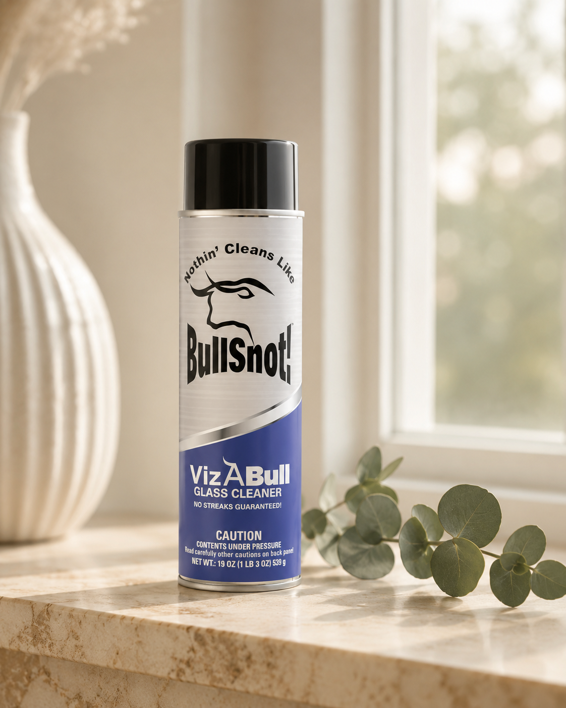 A single can of VizABull glass cleaner